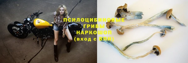 mix Надым