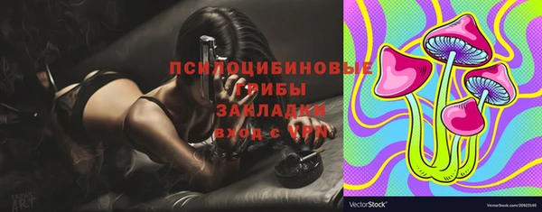mix Надым