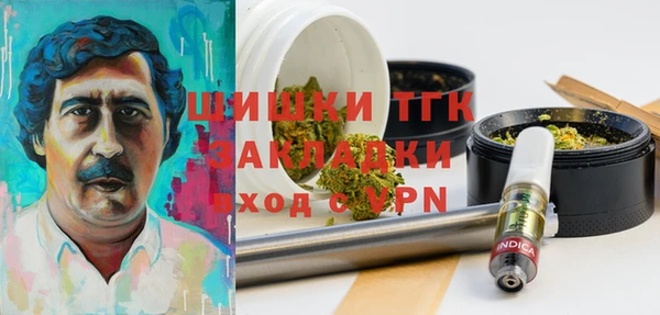 mix Надым
