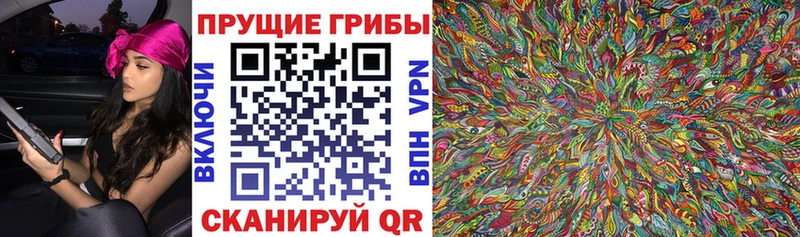 Псилоцибиновые грибы мухоморы  закладка  Москва 